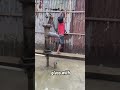 Cute Little Boy’s Smart Way to Get Water 🥺💧