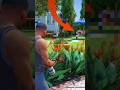 Secret Fact About This House In GTA 5 #gta #gtav #shorts