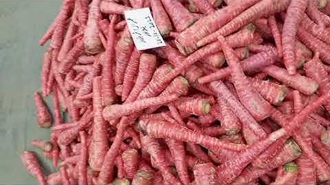 fresh red carrot 🥕