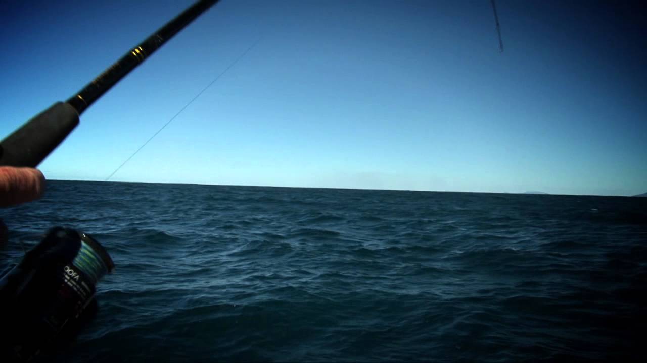 shimano catana nano xg coastline spin rod 2022 CATANA NANO