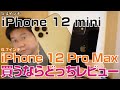 iPhone 12 miniとiPhone 12 Pro max、買うならどっち最速実機レビュー