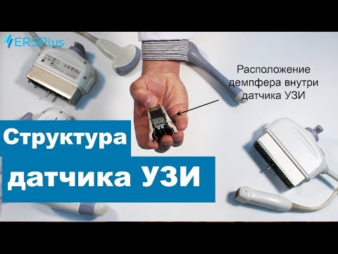 Строение ультразвукового датчика. Датчик УЗИ в разрезе