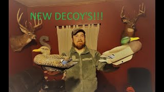LifeTime FlexFloat Decoy, My First Impression's!