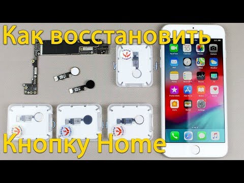 Что делать если перестала работать кнопка home на iPhone