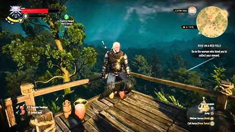The Witcher 3 walking glitch