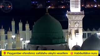 Şiirlerle Menkıbeler Habibullâhın Nuru