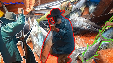 CÂU CÁ BIỂN ĐÔNG 11│Đêm Câu Mực,Sáng Câu Cá Mồi,Chiều Kéo Câu Cá Thu,Cá Cờ,Cá Dũa.