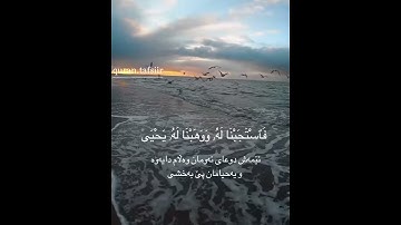 سورة الانبياء بصوت ادريس ابكر(رَبِّ لَا تَذَرْنِى فَرْدًا وَأَنتَ خَيْرُ ٱلْوَٰرِثِينَ)