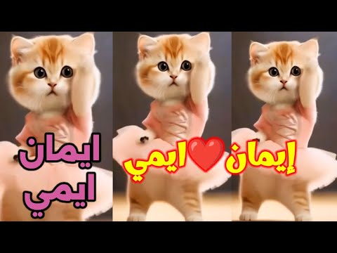 اغنية بأسم ايمان اغنية إيمان ايمي ايمان إيمان السعودية الامارات المغرب الجزائر العراق إيمان