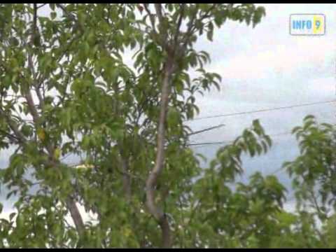 პრეზიდენტის ვიზიტი ცხრუკვეთში