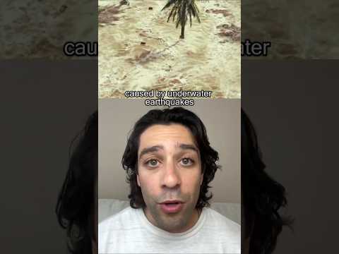 How To Survive A Tsunami Shorts