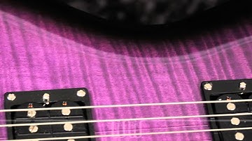 Mark Tremonti (Alter Bridge/Creed) PRS SE Custom with up-routed Trem Purple Burst