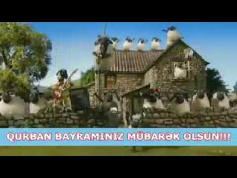 Qoyunlar qurban bayrami