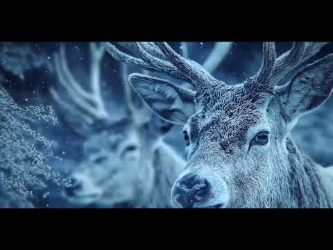 Where Gears Turn at Christmas #shortsviral #video by Yippee Couples 