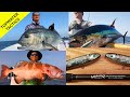 Topwater poppering tackle tips & tactics for GTs Tuna & Cubera . Boats & land-based - Crazy big fish