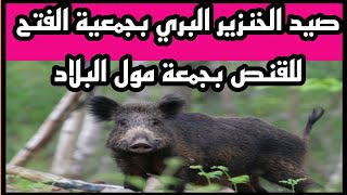 صيد الخنزير البري بجمعية الفتح للقنص بجمعة مول البلاد