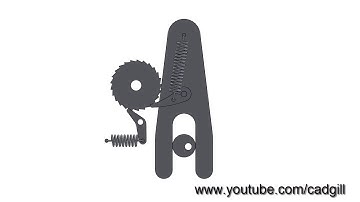 Ratchet and Pawl Mechanism