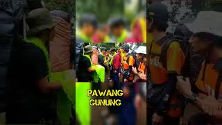 Download Lagu Jadi pengen MP3