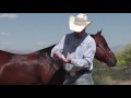 How to Apply Weaver Leather Shine & Detangler to a Horse