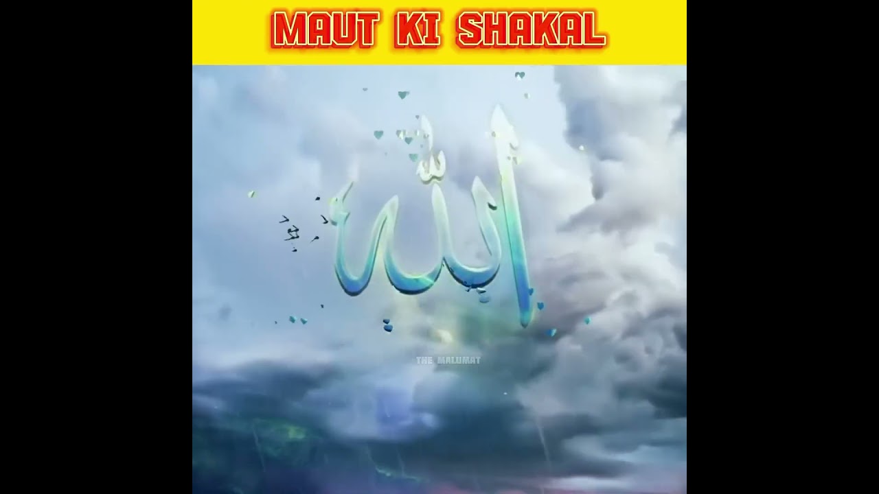 Maut Ki Shakal Kaisi Hai 🤔 #themalumatchannel #shorts