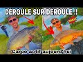 Jenchaine les carpes sous un arbre ca deroule sec  peche en etang