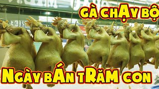 Cách luộc gà da giòn, da vàng bóng và chéo cánh gà cúng cực đẹp ở tiệm gà ta Thành Trung