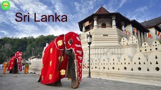 10 Drop Dead Beautiful Places in Sri Lanka You Have To Check Out Now