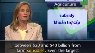 Anh ngữ đặc biệt: US Farm Subsidies (VOA)