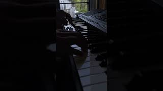 Beautiful Relax Music in Piano