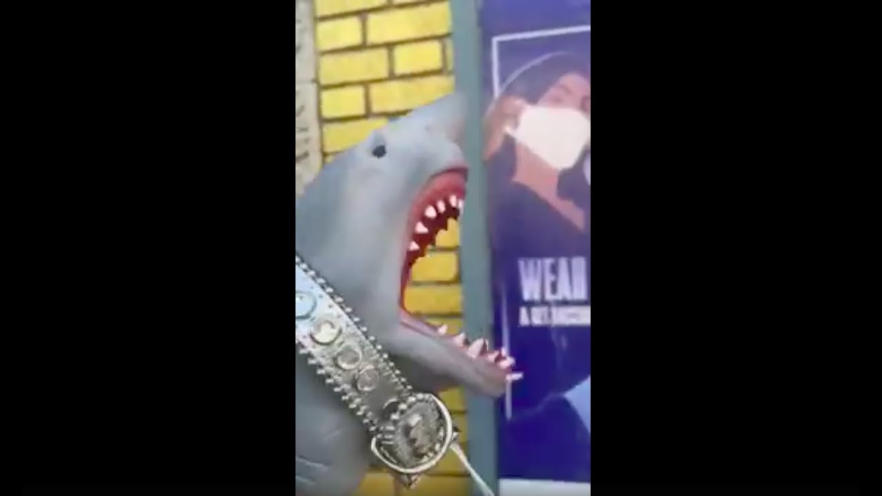 SHARK PUPPET GETS JUMPED!!!!!! - YouTube