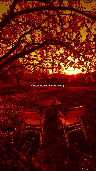 Download lagu Shawn Mendes and Camila Cabello's HOTTEST Song Senorita Lyrics #senorita #shawnmendes #camilacabello