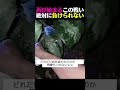 電撃ラケット無双 ㅣ 30秒間で蚊を100匹以上倒すｗｗｗ
