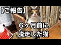 【ご報告】大切なお知らせがあります。