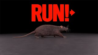 How far can a mouse run in 12 hours? by Bug Body 3,436 views 1 year ago 12 hours