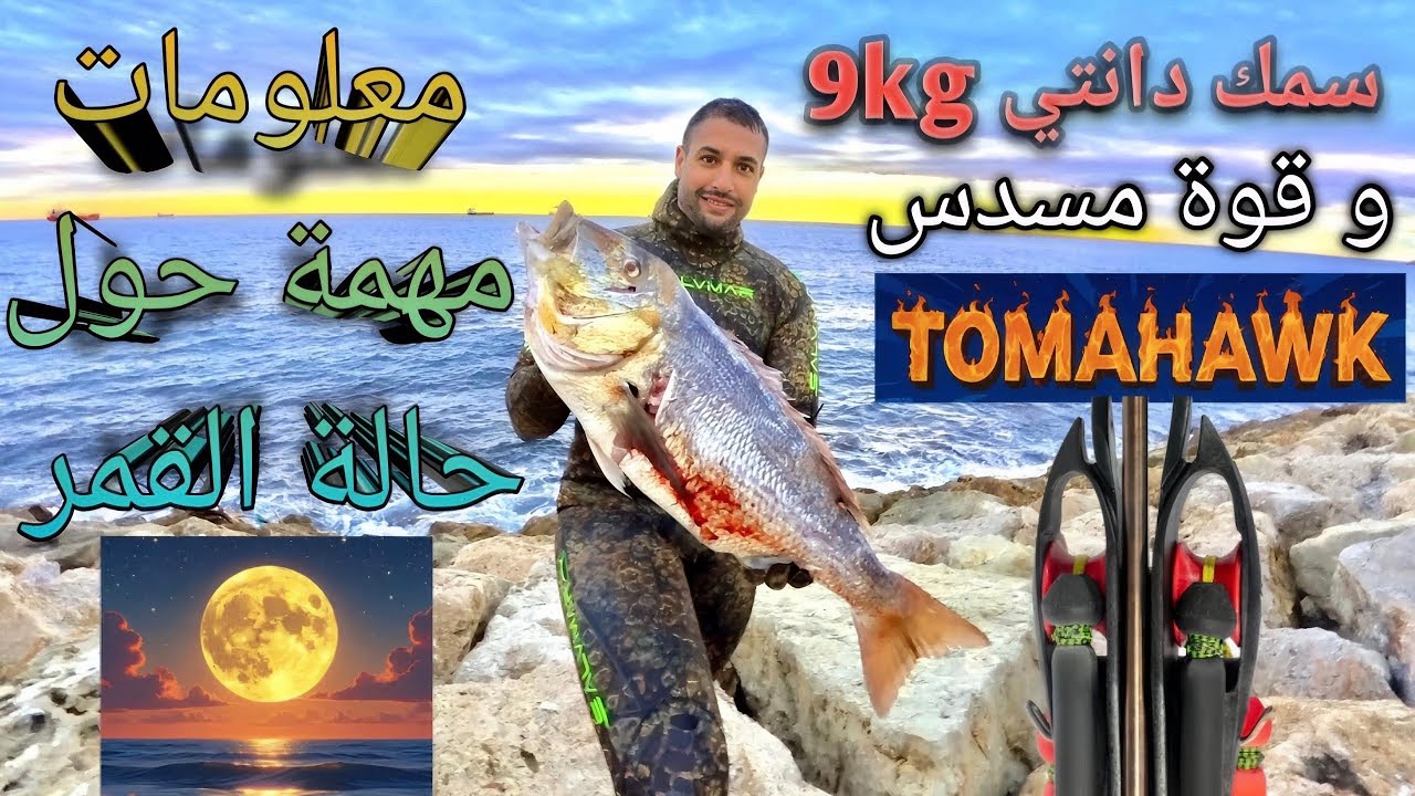 سمكة دانتي من الحجم الكبير ومعلومات مهمة على حالة القمر وتأثيره في رياضة الغوص تحت الماء (TOMAHAWK )