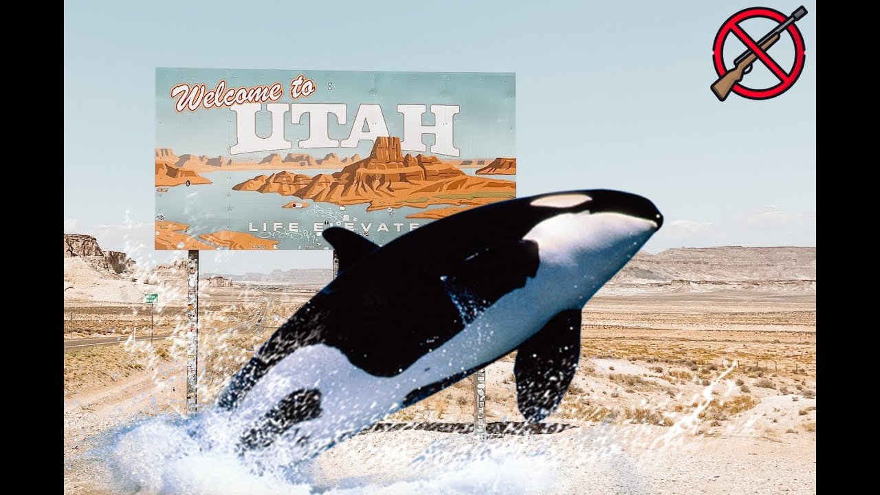 10 Most Ridiculous U.S. Laws In History / Top 10 Craziest Laws YouTube