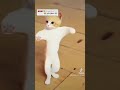 اغنية باسم منى اغنية باسم منى