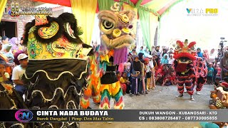 Download lagu BARONGSAI (GARA GARA SEBOTOL) ~ BUROK DANGDUT CINTA NADA BUDAYA SHOW KARANGBALE 29/10/2024