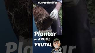 Cómo plantar un ÁRBOL FRUTAL #short, #shortsyoutube