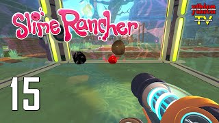 Slime Rancher S02E15 - Lai Tạo Các Bé Kẹo Dẻo Độc Lạ screenshot 3