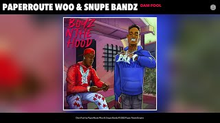 PaperRoute Woo - Dam Fool (Official Audio) (feat. Snupe Bandz)