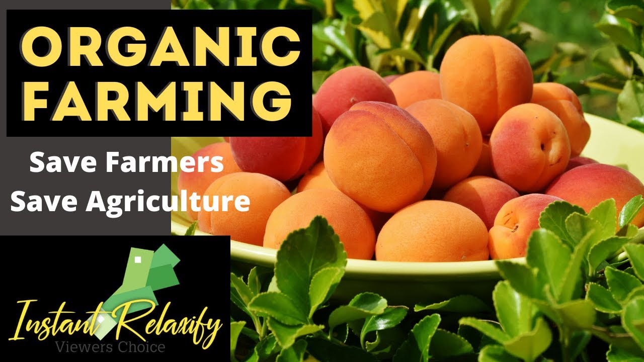 What is Organic Farming | Advantages of organic farming | Save farmers