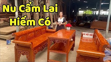 ĐỘC NHẤT - Bộ Trường Kỉ Vân NU CẨM LAI Hiếm Có | TK1100
