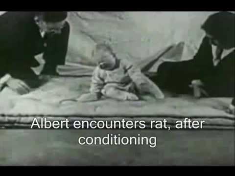 Little Albert Experiment (Watson)