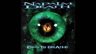 洋楽 Napalm Death Inside the Torn Apart CD 919FXpkQqHL._UF1000,1000_QL80_.jpg