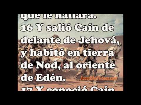 La Biblia Reina Valera Gnesis 4