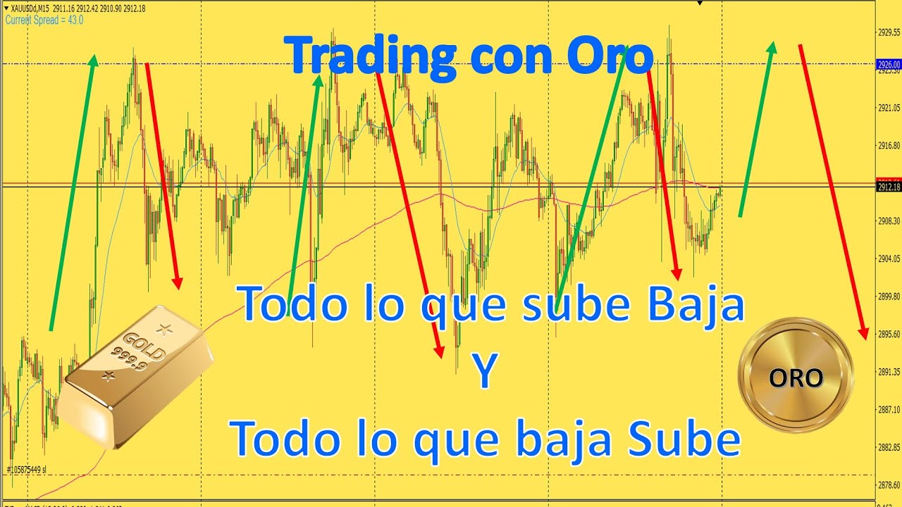 El Precio del ORO Sube y Baja Principio Fundamental del Trading - YouTube