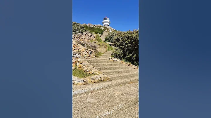 At the base of Cape Point Lighthouse. My knees are crying at the thought of climbing those steps.
