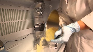 How to grind and sample corn for Mycotoxin testing
