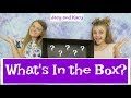 What's In the Box Challenge ~ Jacy and Kacy